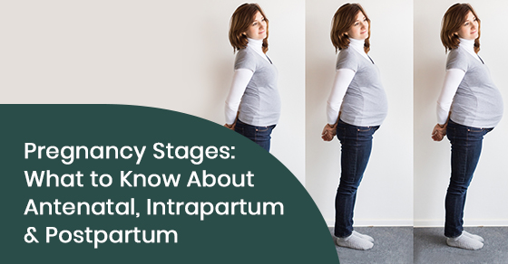 Pregnancy stages: What to know about antenatal, intrapartum & postpartum